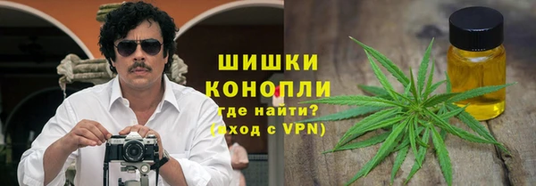 сатива Снежинск