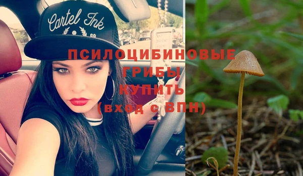 сатива Снежинск